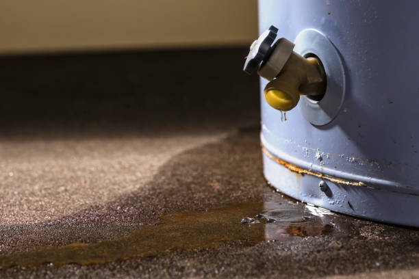 Best Water damage restoration near me  in Kings Park, NY