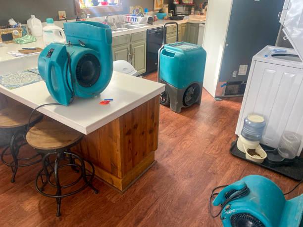 Best 24-hour water damage restoration  in Kings Park, NY