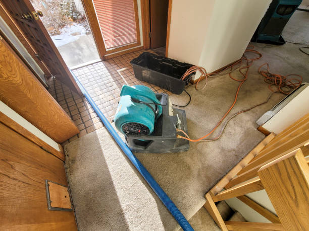 Reliable Kings Park, NY Water damage restoration Solutions