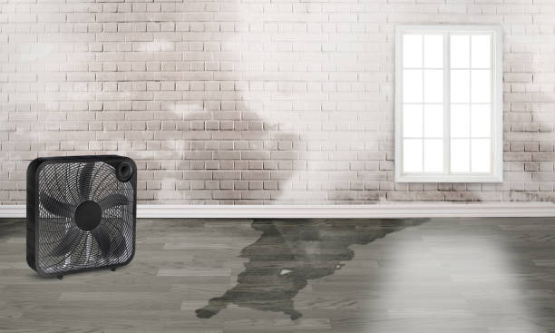 Best Ceiling water damage repair  in Kings Park, NY