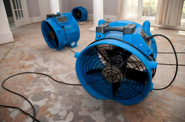 Best Commercial water damage restoration  in Kings Park, NY