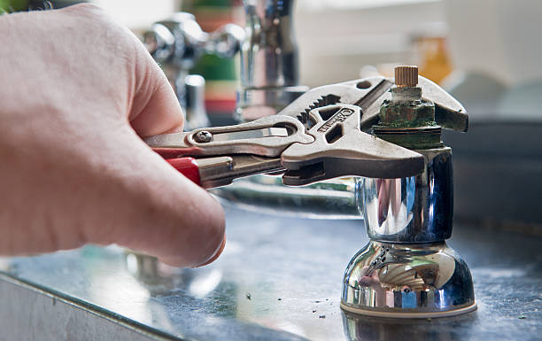 Best Mold removal after water damage  in Kings Park, NY