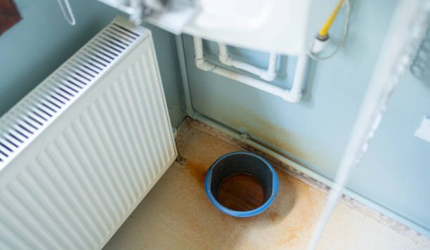 Best Professional water damage repair  in Kings Park, NY